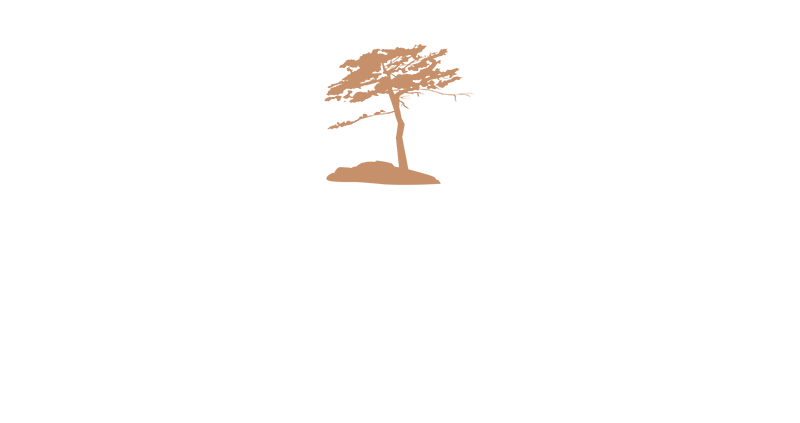 Georgian Shores Catering
